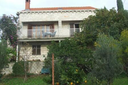 Honey Bee Cavtat Appartement Buitenkant foto
